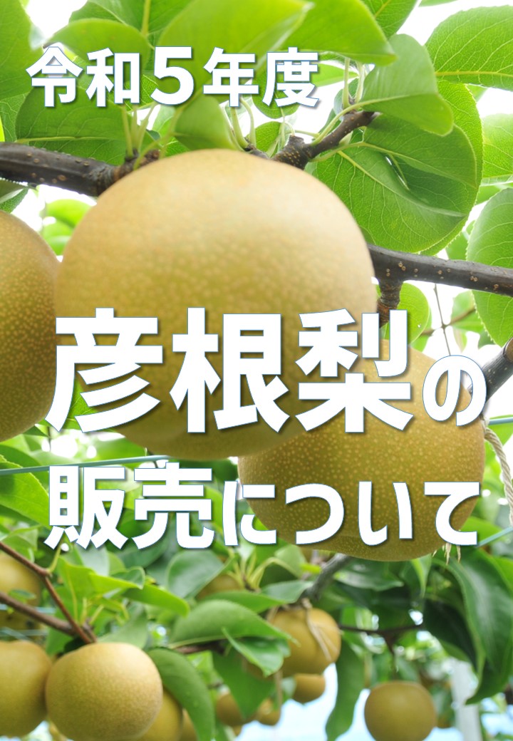 令和５年度「彦根梨」の販売について