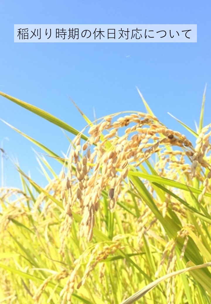 稲刈り時期の休日対応について
