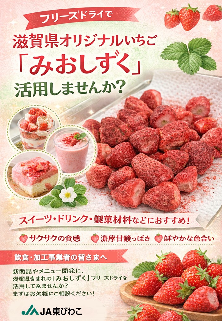 【飲食・加工事業者さま向け】滋賀県オリジナルいちご「みおしずく」フリーズドライのご提案