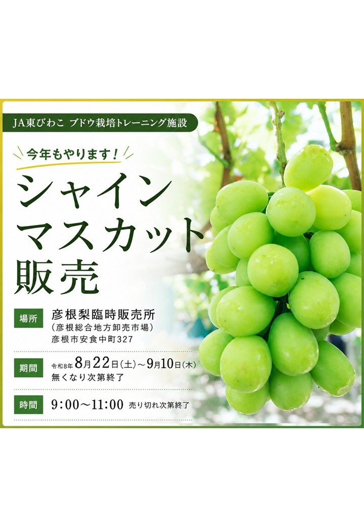シャインマスカット販売のご案内
