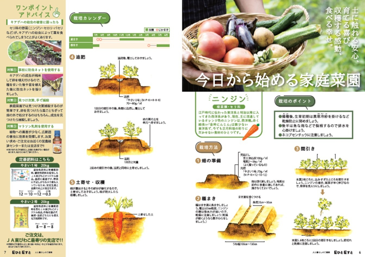 ７月号家庭菜園