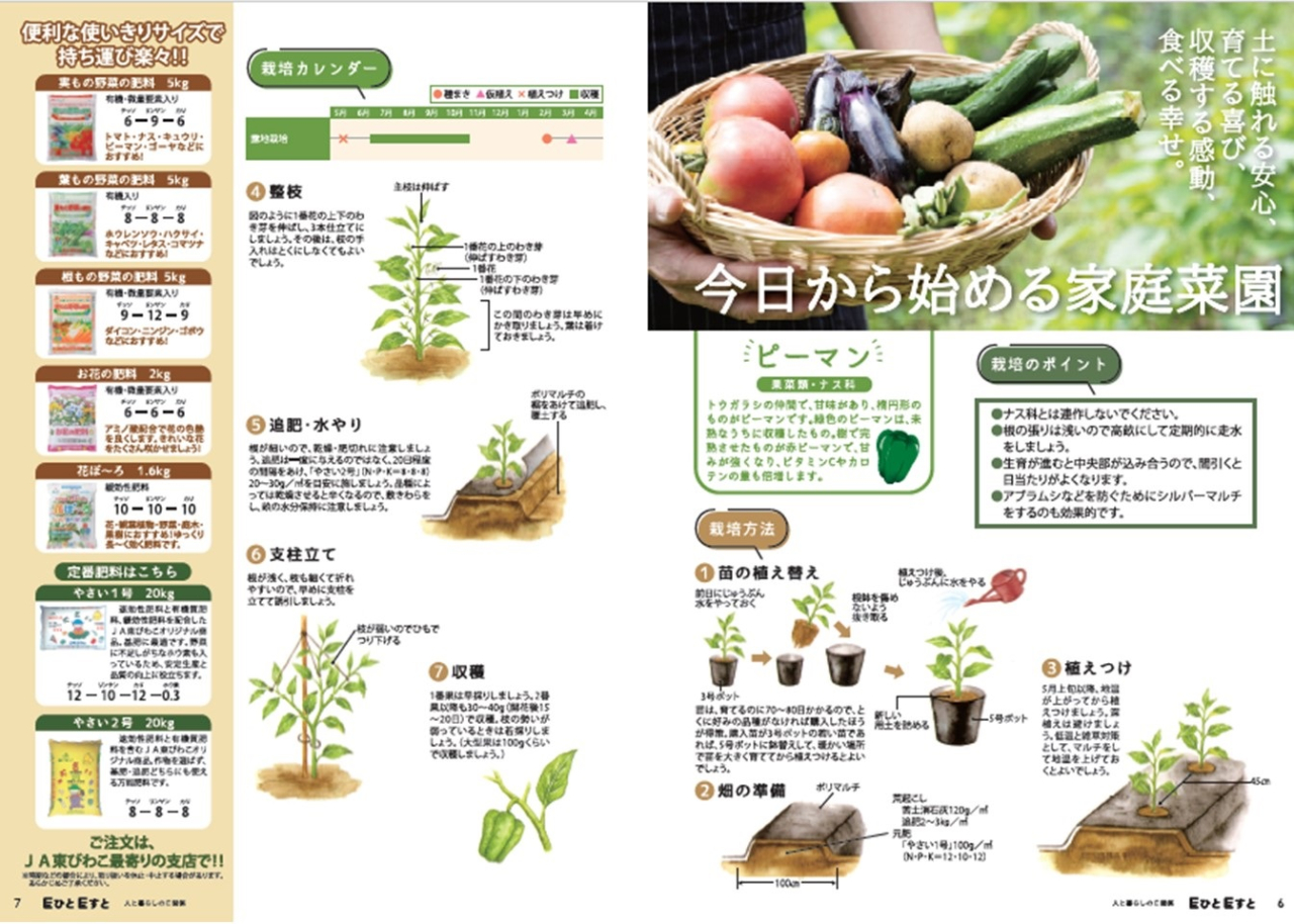 ５月号家庭菜園サムネ