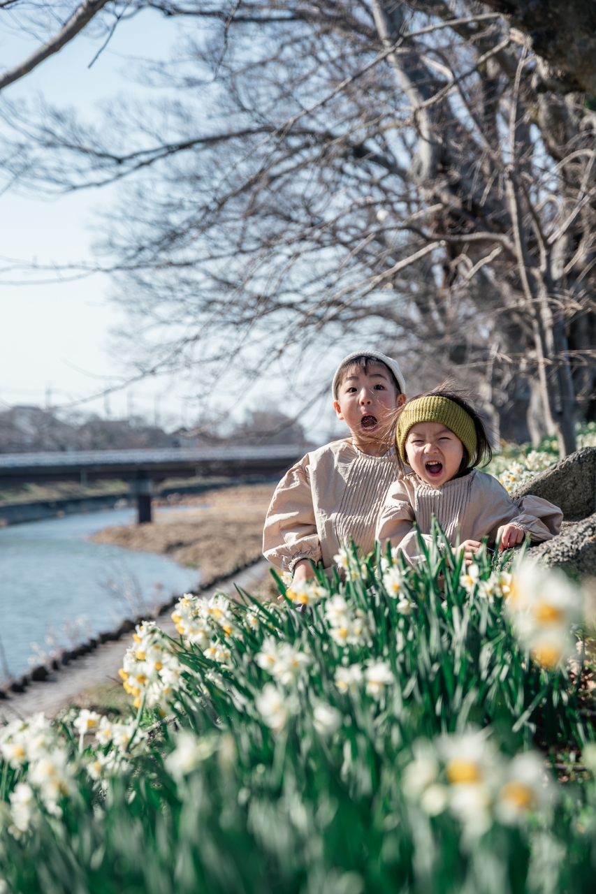 ⑨地域自慢部門優秀賞 Narcissus（大曲智美）